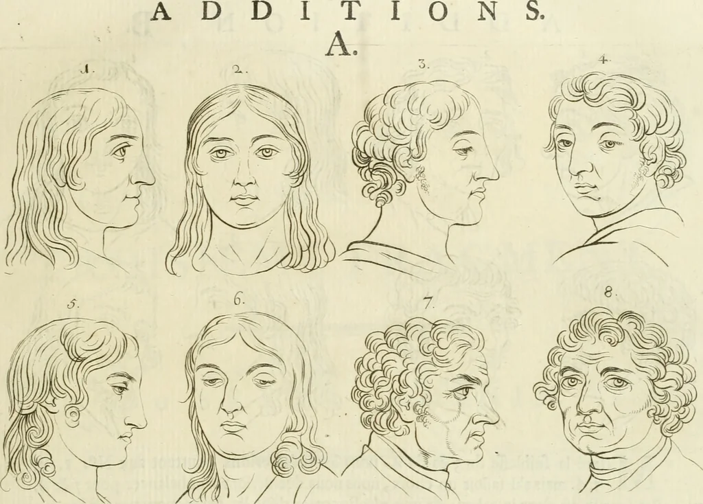 An illustration from Essai sur la physiognomonie : destiné a faire connoître l'homme & à le faire aimer, 1781, leaf 116