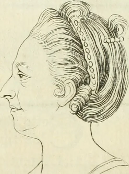 An illustration from Essai sur la physiognomonie : destiné a faire connoître l'homme & à le faire aimer, 1781, leaf 130