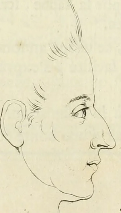 An illustration from Essai sur la physiognomonie : destiné a faire connoître l'homme & à le faire aimer, 1781, leaf 130