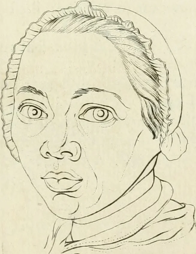 An illustration from Essai sur la physiognomonie : destiné a faire connoître l'homme & à le faire aimer, 1781, leaf 134