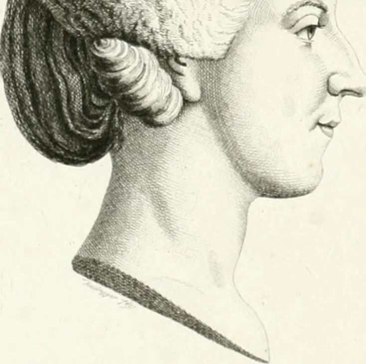 An illustration from Essai sur la physiognomonie : destiné a faire connoître l'homme & à le faire aimer, 1781, leaf 149