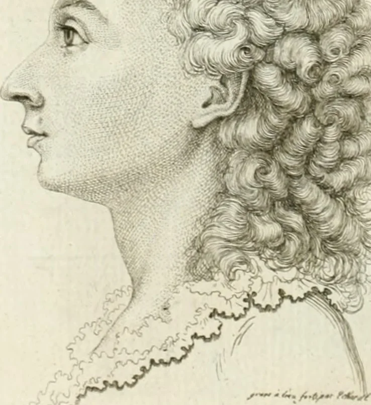 An illustration from Essai sur la physiognomonie : destiné a faire connoître l'homme & à le faire aimer, 1781, leaf 157
