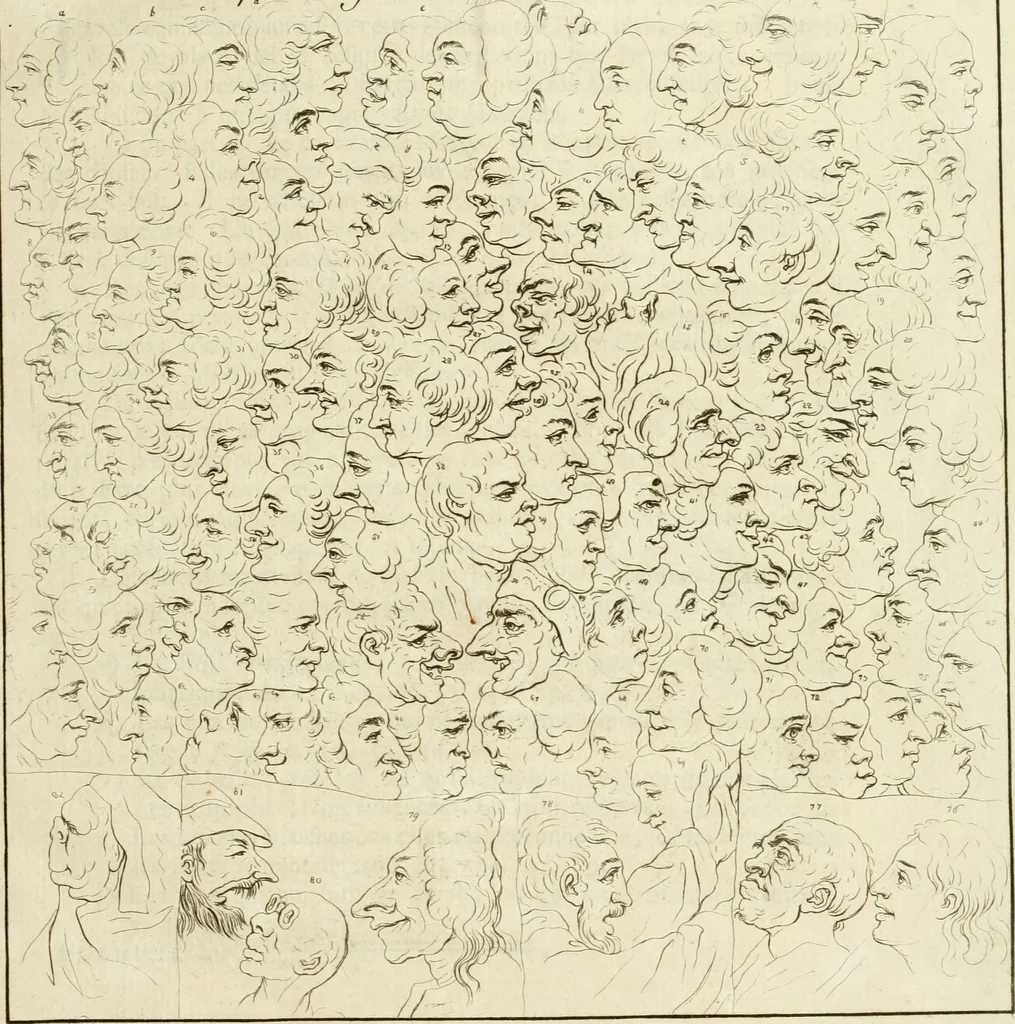 An illustration from Essai sur la physiognomonie : destiné a faire connoître l'homme & à le faire aimer, 1781, leaf 18