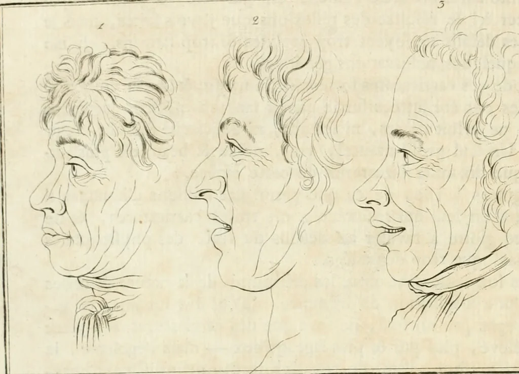 An illustration from Essai sur la physiognomonie : destiné a faire connoître l'homme & à le faire aimer, 1781, leaf 21