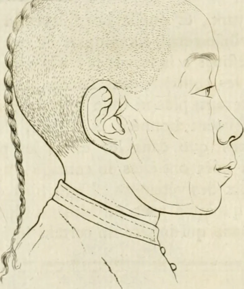An illustration from Essai sur la physiognomonie : destiné a faire connoître l'homme & à le faire aimer, 1781, leaf 213