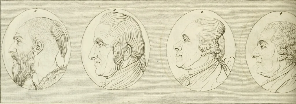 An illustration from Essai sur la physiognomonie : destiné a faire connoître l'homme & à le faire aimer, 1781, leaf 215