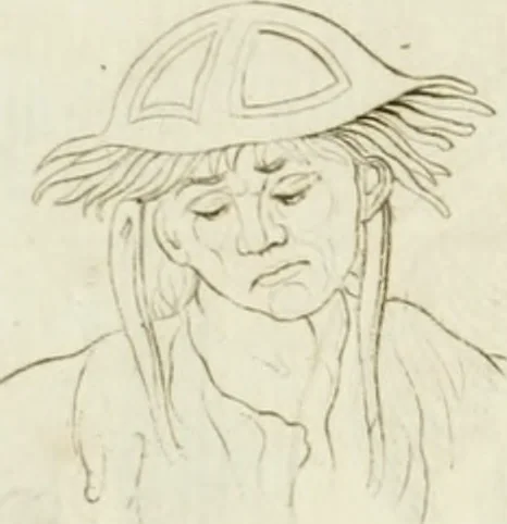 An illustration from Essai sur la physiognomonie : destiné a faire connoître l'homme & à le faire aimer, 1781, leaf 217