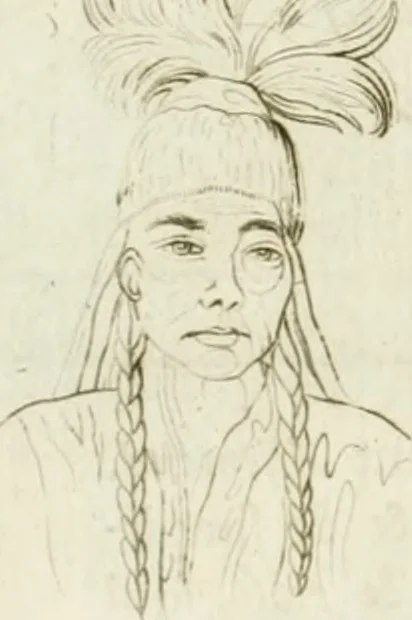 An illustration from Essai sur la physiognomonie : destiné a faire connoître l'homme & à le faire aimer, 1781, leaf 217