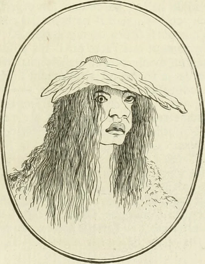 An illustration from Essai sur la physiognomonie : destiné a faire connoître l'homme & à le faire aimer, 1781, leaf 218