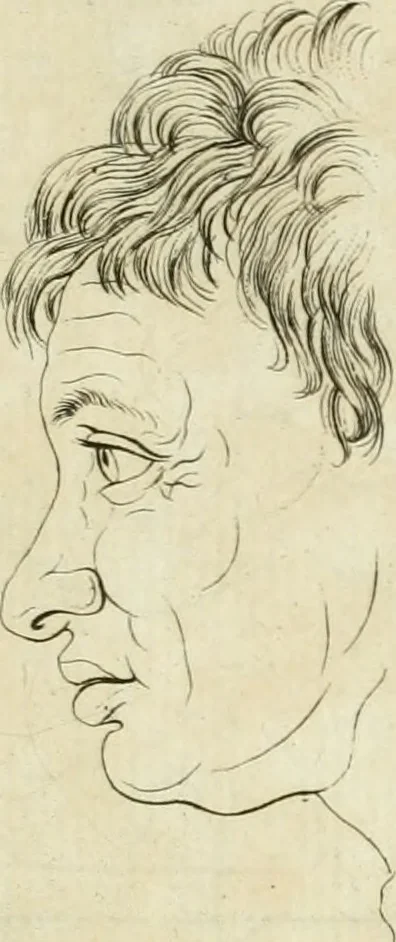 An illustration from Essai sur la physiognomonie : destiné a faire connoître l'homme & à le faire aimer, 1781, leaf 22