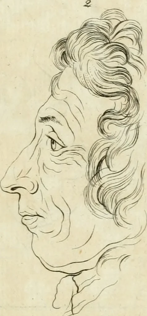 An illustration from Essai sur la physiognomonie : destiné a faire connoître l'homme & à le faire aimer, 1781, leaf 22