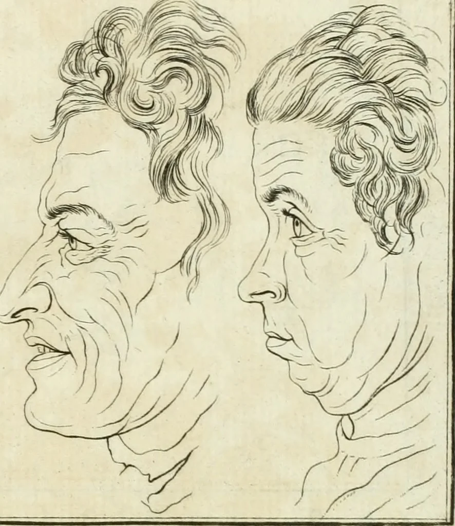 An illustration from Essai sur la physiognomonie : destiné a faire connoître l'homme & à le faire aimer, 1781, leaf 22