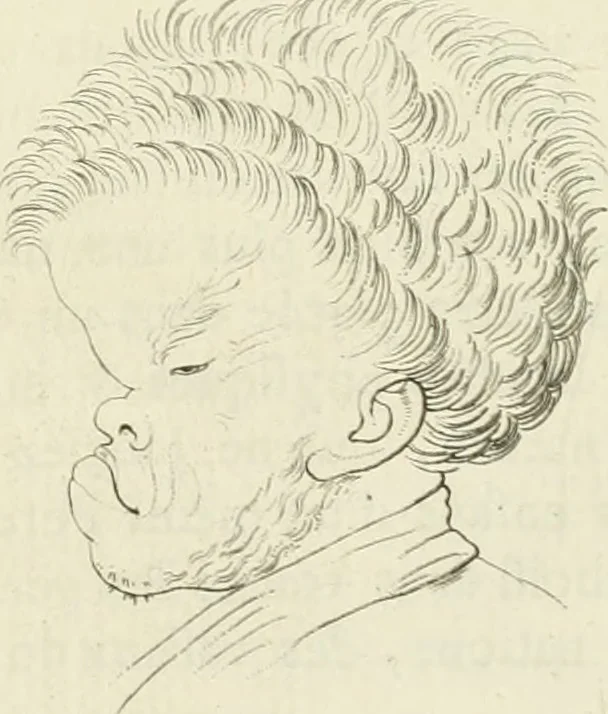 An illustration from Essai sur la physiognomonie : destiné a faire connoître l'homme & à le faire aimer, 1781, leaf 220