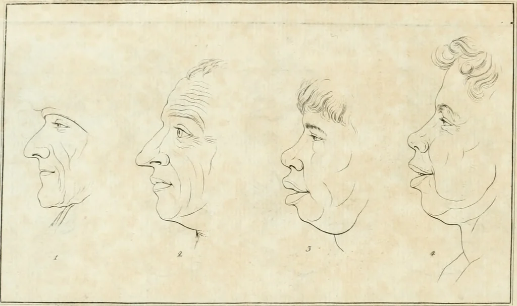 An illustration from Essai sur la physiognomonie : destiné a faire connoître l'homme & à le faire aimer, 1781, leaf 23