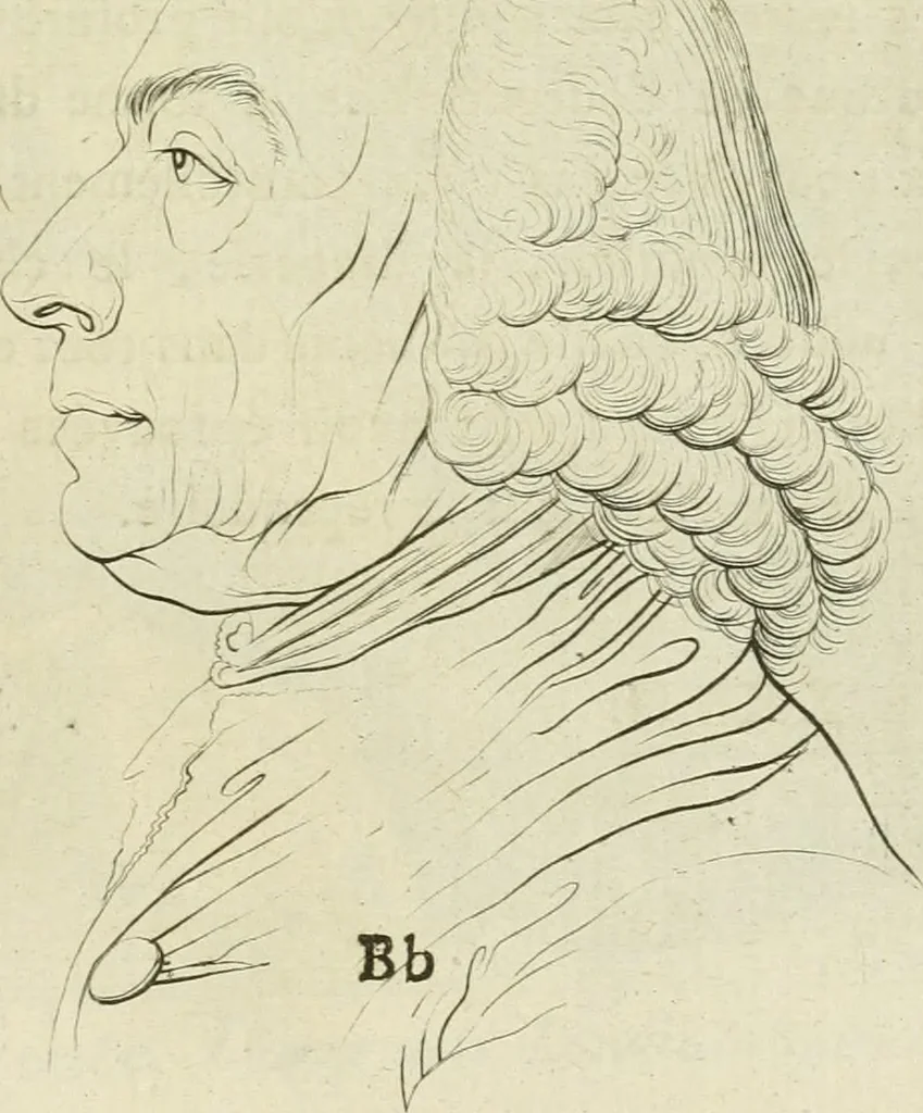 An illustration from Essai sur la physiognomonie : destiné a faire connoître l'homme & à le faire aimer, 1781, leaf 256