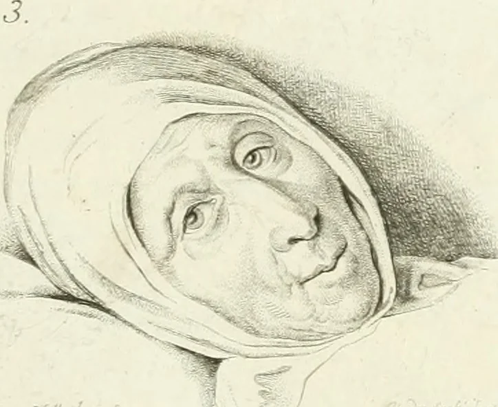 An illustration from Essai sur la physiognomonie : destiné a faire connoître l'homme & à le faire aimer, 1781, leaf 26