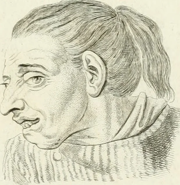 An illustration from Essai sur la physiognomonie : destiné a faire connoître l'homme & à le faire aimer, 1781, leaf 26