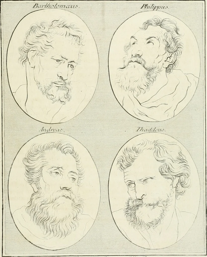 An illustration from Essai sur la physiognomonie : destiné a faire connoître l'homme & à le faire aimer, 1781, leaf 262