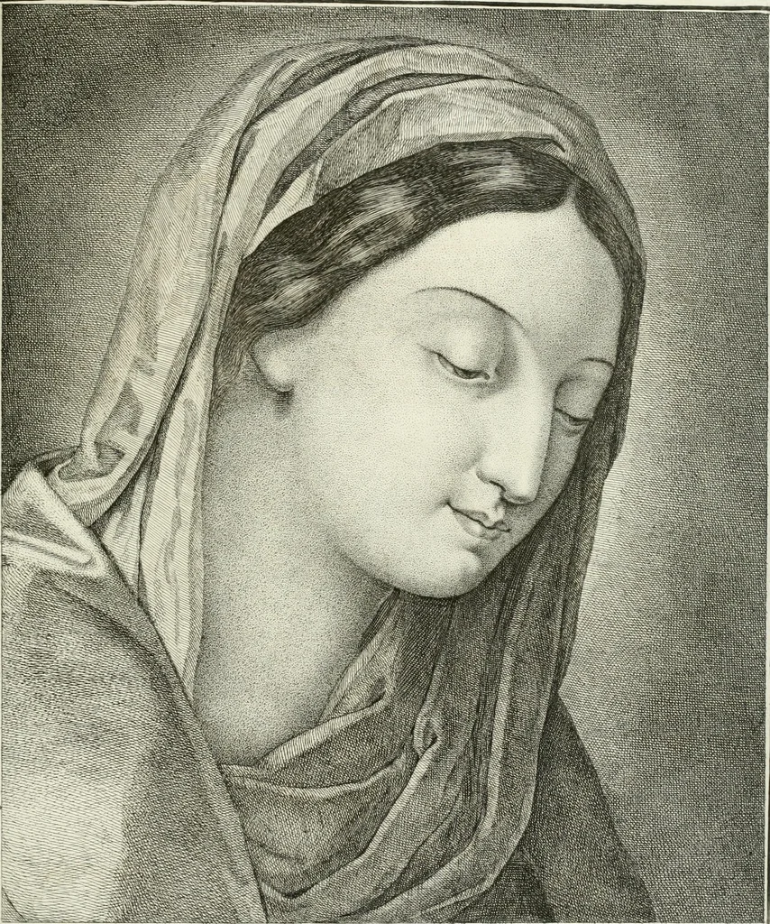 An illustration from Essai sur la physiognomonie : destiné a faire connoître l'homme & à le faire aimer, 1781, leaf 270