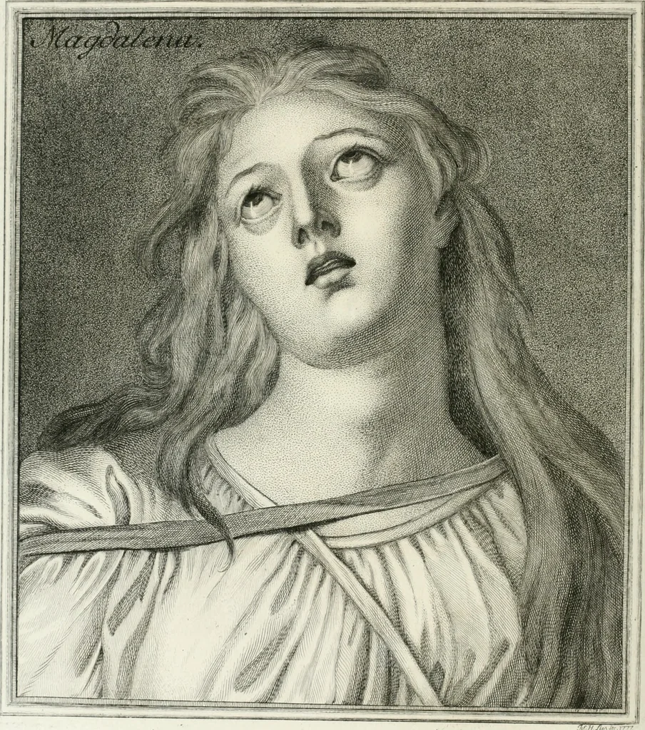 An illustration from Essai sur la physiognomonie : destiné a faire connoître l'homme & à le faire aimer, 1781, leaf 273