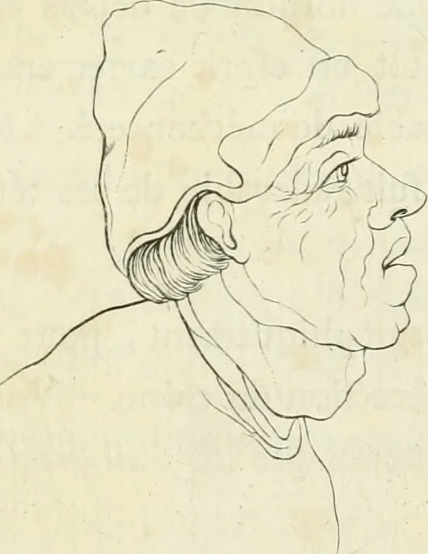 An illustration from Essai sur la physiognomonie : destiné a faire connoître l'homme & à le faire aimer, 1781, leaf 28