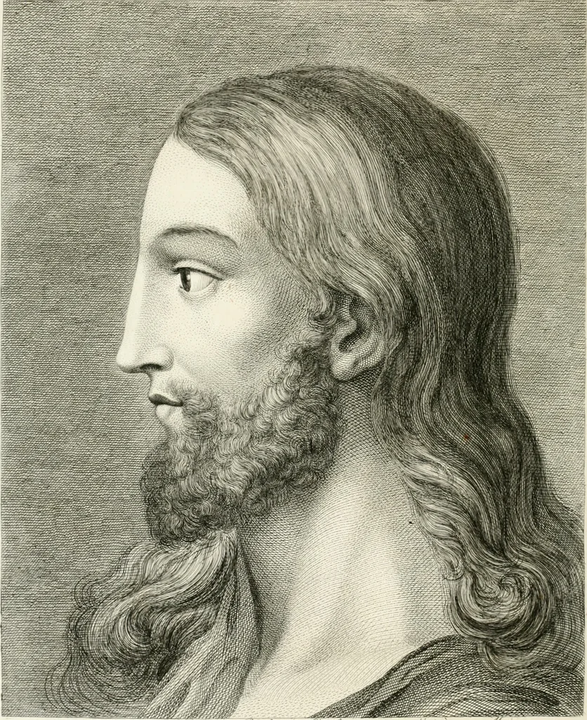 An illustration from Essai sur la physiognomonie : destiné a faire connoître l'homme & à le faire aimer, 1781, leaf 299