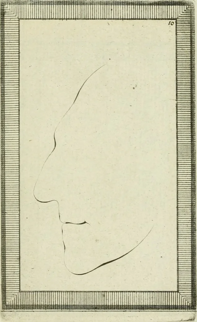 An illustration from Essai sur la physiognomonie : destiné a faire connoître l'homme & à le faire aimer, 1781, leaf 340