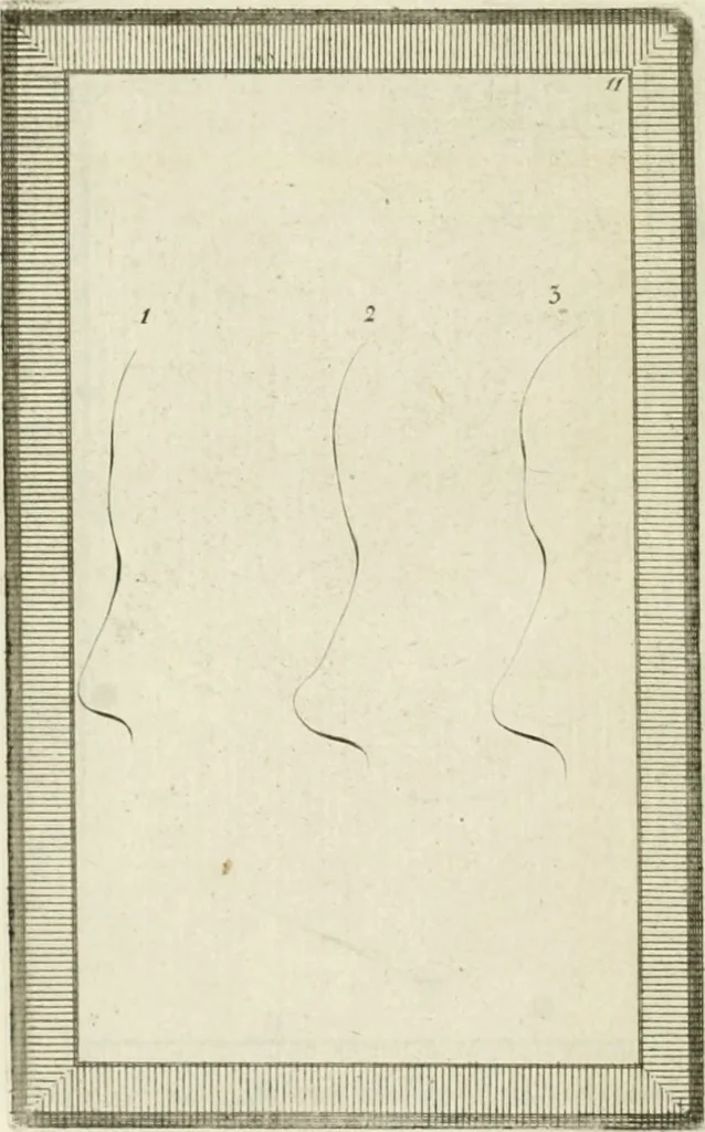An illustration from Essai sur la physiognomonie : destiné a faire connoître l'homme & à le faire aimer, 1781, leaf 341