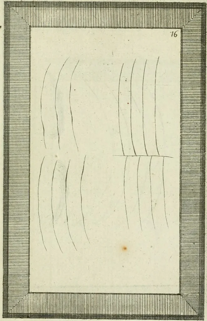 An illustration from Essai sur la physiognomonie : destiné a faire connoître l'homme & à le faire aimer, 1781, leaf 346