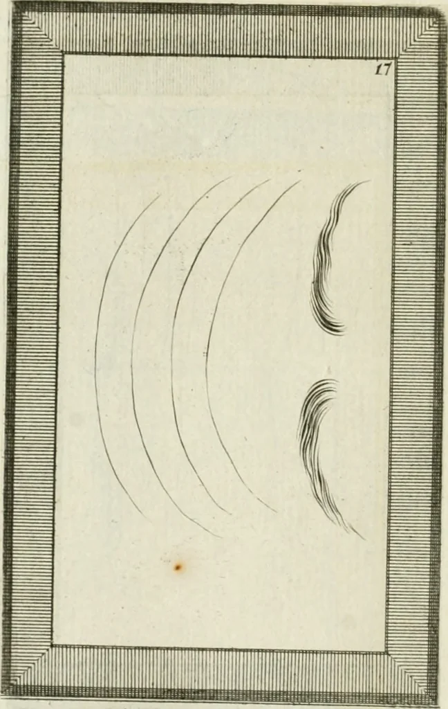 An illustration from Essai sur la physiognomonie : destiné a faire connoître l'homme & à le faire aimer, 1781, leaf 347