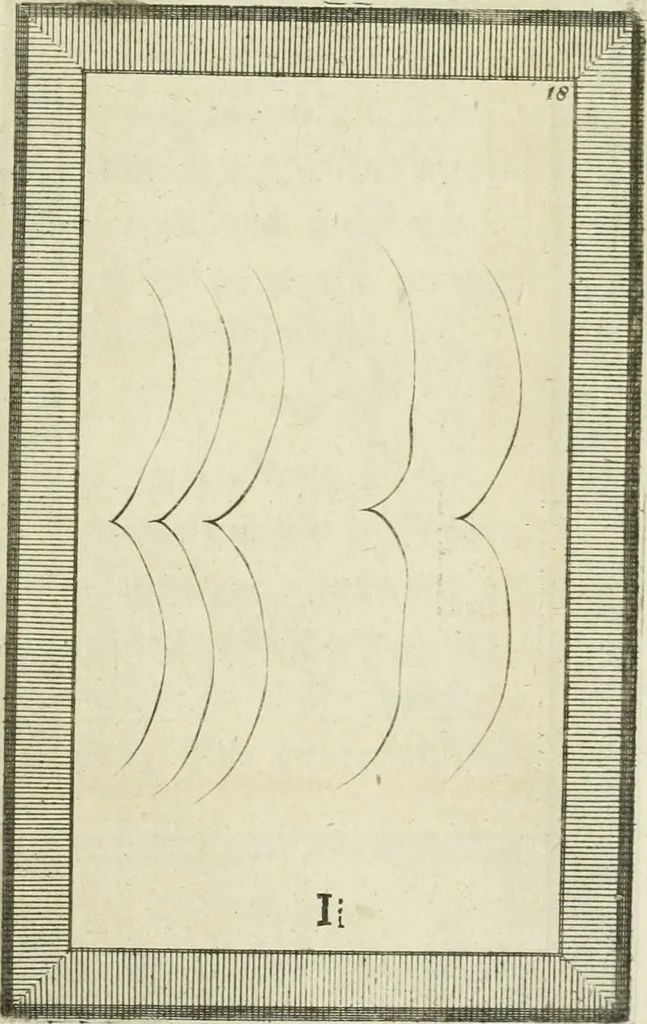 An illustration from Essai sur la physiognomonie : destiné a faire connoître l'homme & à le faire aimer, 1781, leaf 348