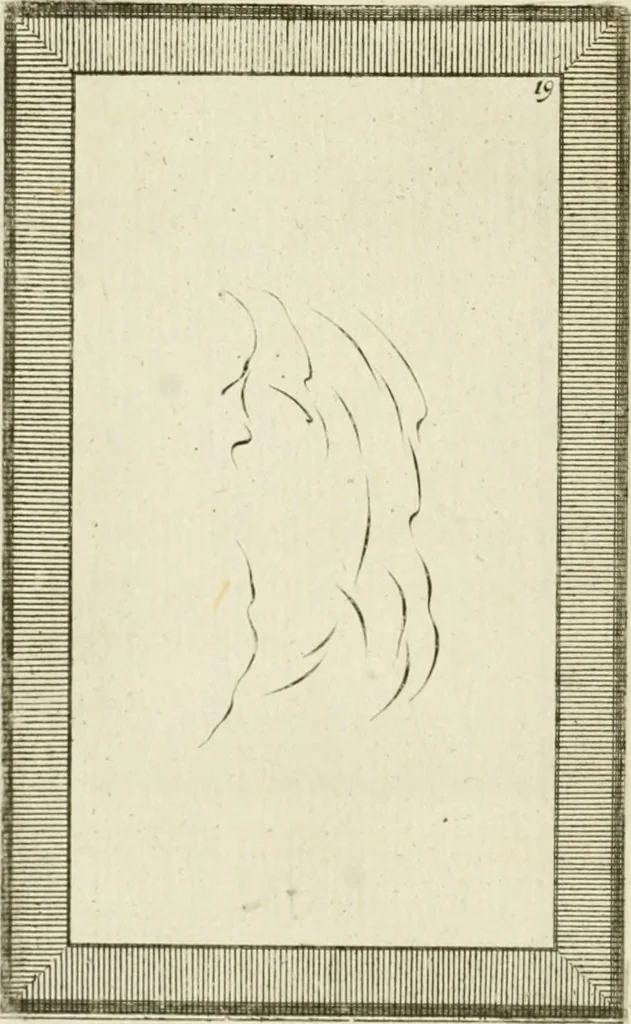 An illustration from Essai sur la physiognomonie : destiné a faire connoître l'homme & à le faire aimer, 1781, leaf 349