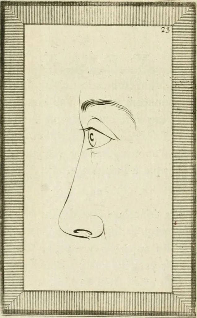 An illustration from Essai sur la physiognomonie : destiné a faire connoître l'homme & à le faire aimer, 1781, leaf 351