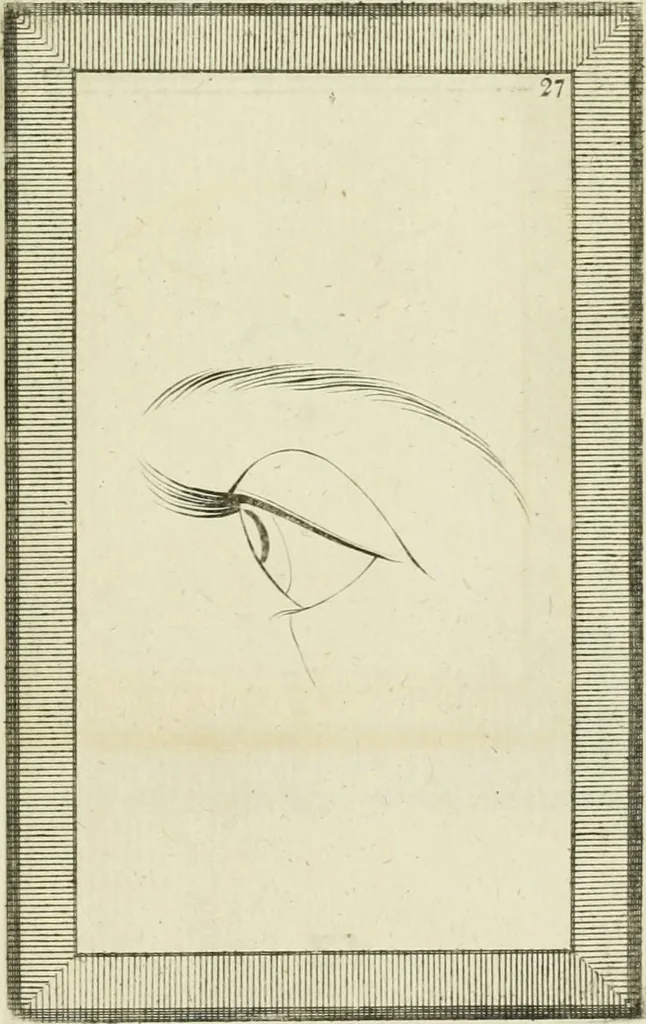 An illustration from Essai sur la physiognomonie : destiné a faire connoître l'homme & à le faire aimer, 1781, leaf 354
