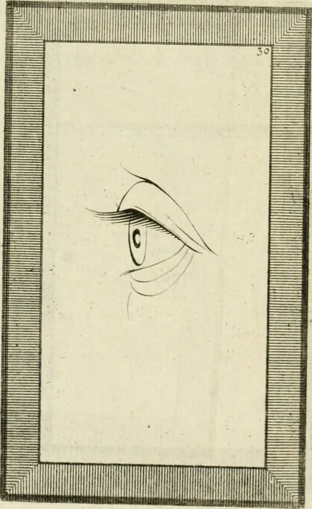An illustration from Essai sur la physiognomonie : destiné a faire connoître l'homme & à le faire aimer, 1781, leaf 357