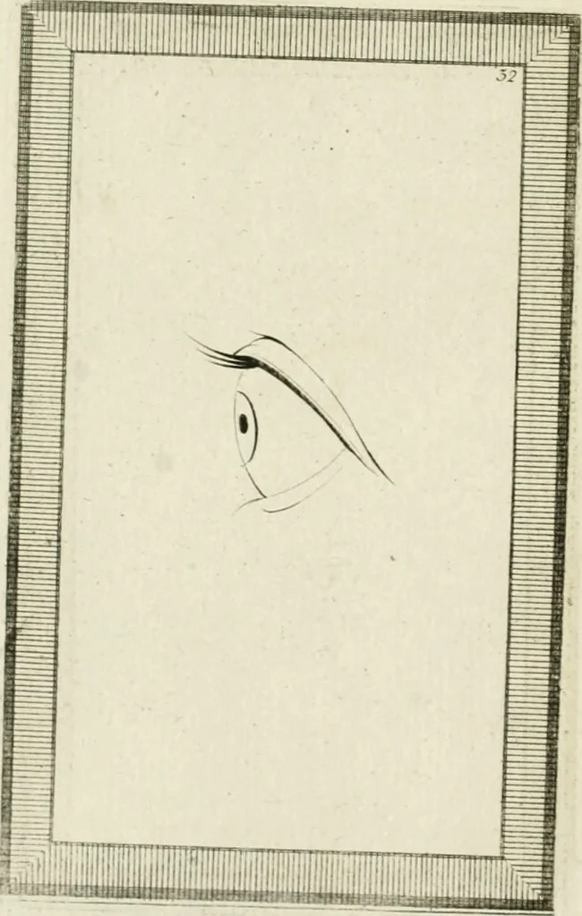 An illustration from Essai sur la physiognomonie : destiné a faire connoître l'homme & à le faire aimer, 1781, leaf 359