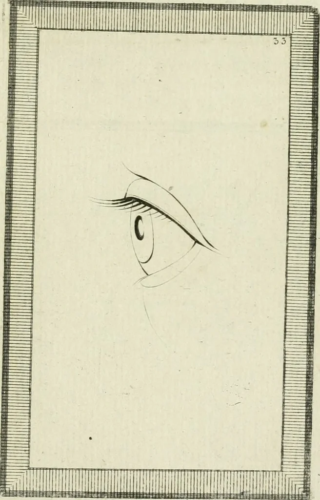An illustration from Essai sur la physiognomonie : destiné a faire connoître l'homme & à le faire aimer, 1781, leaf 360