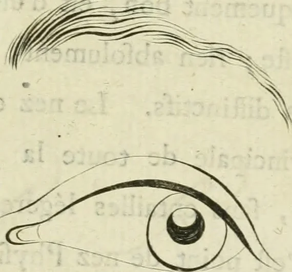 An illustration from Essai sur la physiognomonie : destiné a faire connoître l'homme & à le faire aimer, 1781, leaf 362