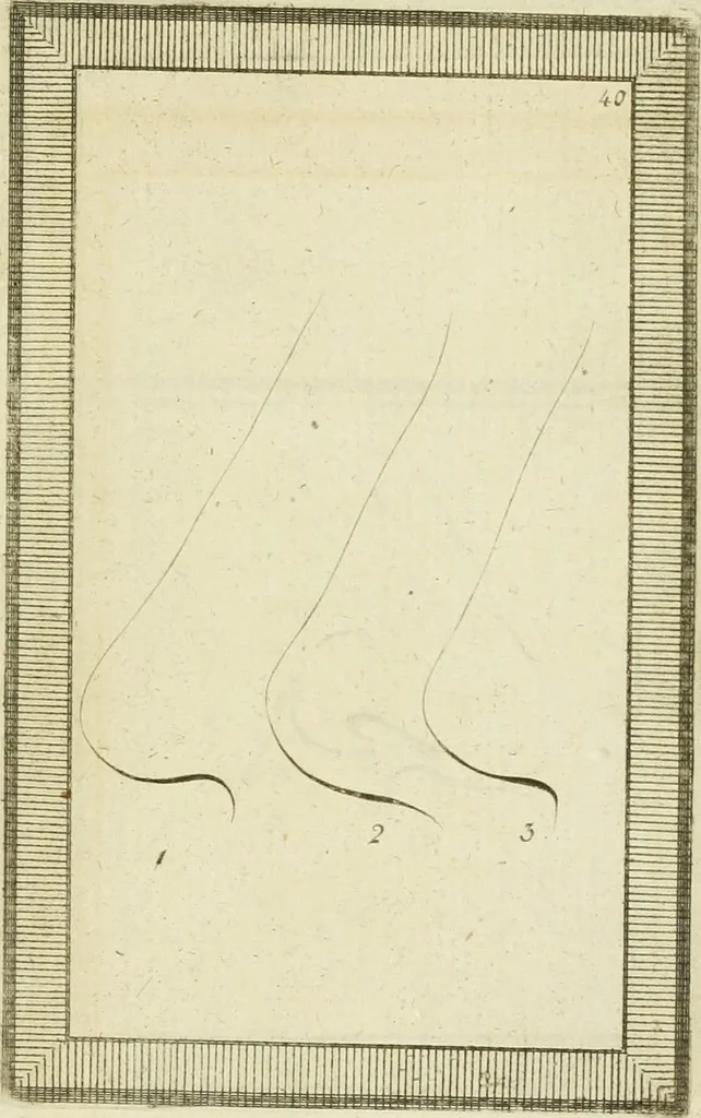 An illustration from Essai sur la physiognomonie : destiné a faire connoître l'homme & à le faire aimer, 1781, leaf 366