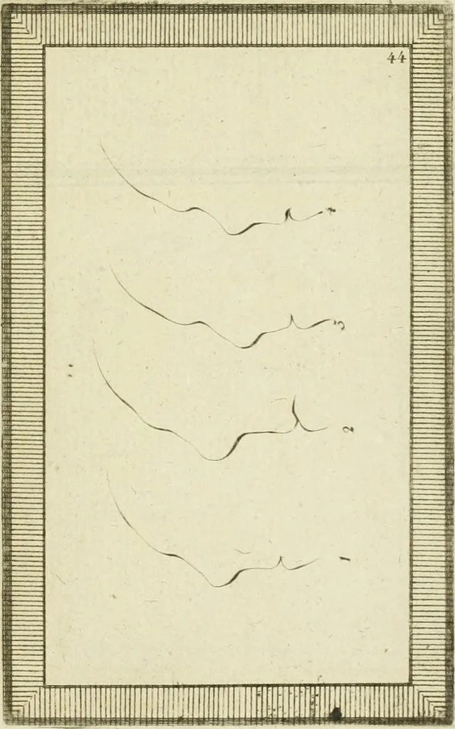 An illustration from Essai sur la physiognomonie : destiné a faire connoître l'homme & à le faire aimer, 1781, leaf 370