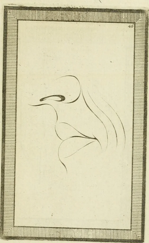 An illustration from Essai sur la physiognomonie : destiné a faire connoître l'homme & à le faire aimer, 1781, leaf 372