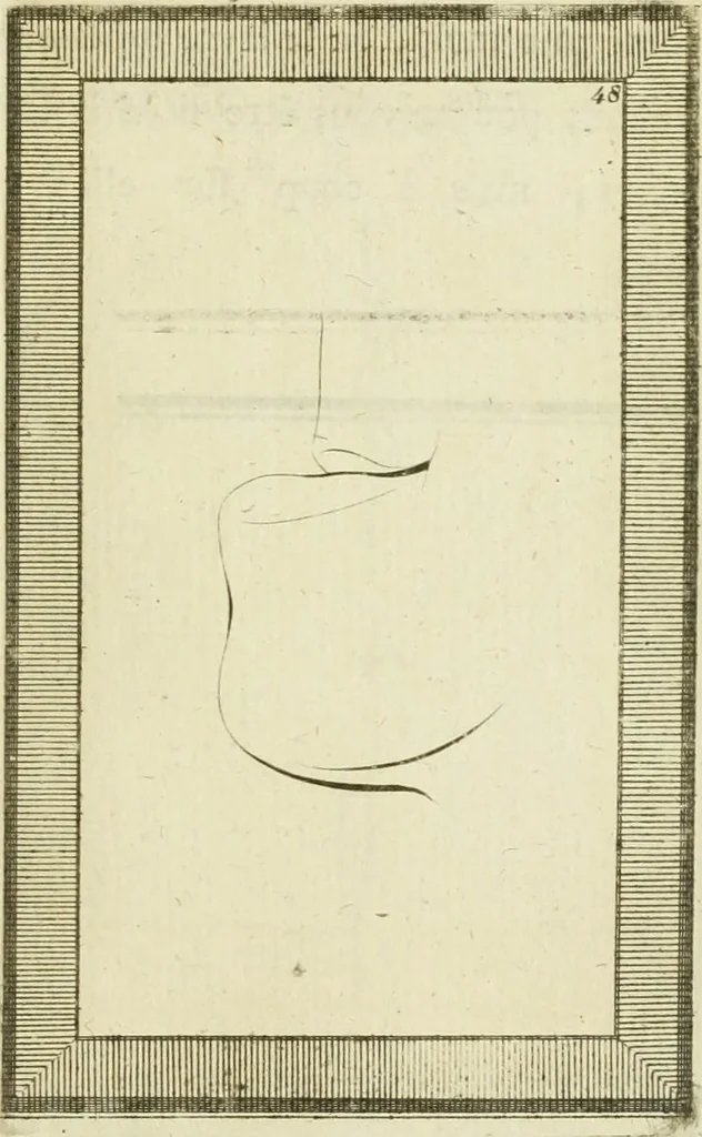 An illustration from Essai sur la physiognomonie : destiné a faire connoître l'homme & à le faire aimer, 1781, leaf 374