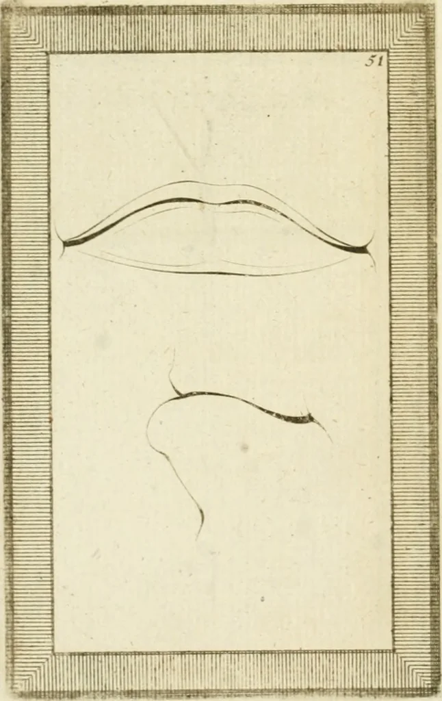 An illustration from Essai sur la physiognomonie : destiné a faire connoître l'homme & à le faire aimer, 1781, leaf 377