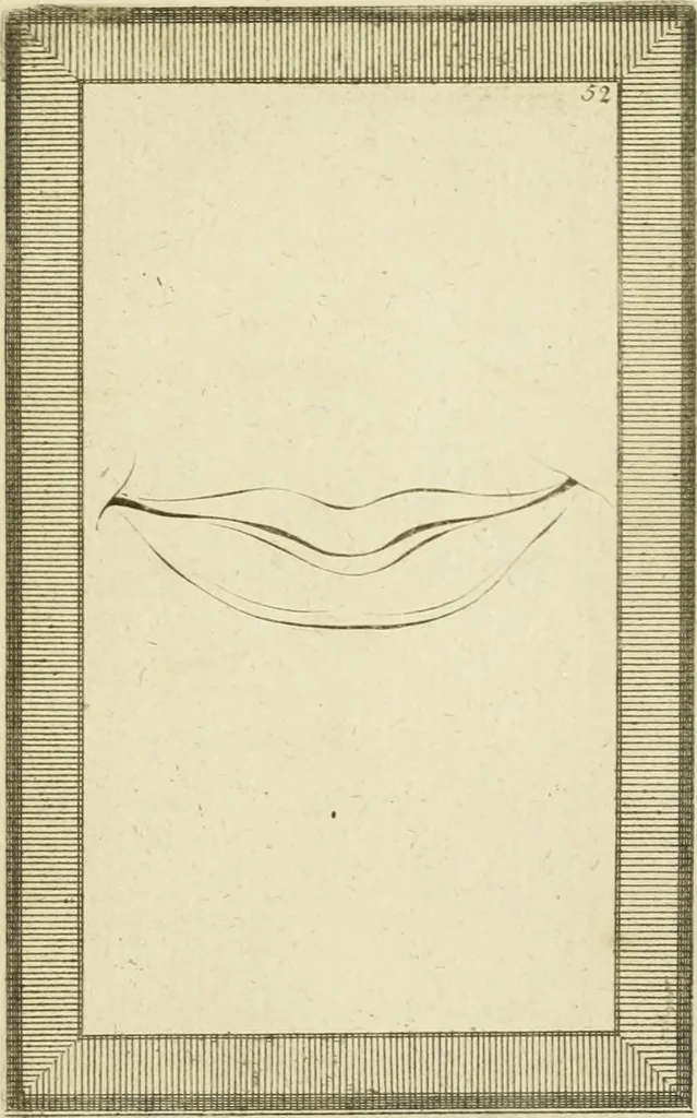 An illustration from Essai sur la physiognomonie : destiné a faire connoître l'homme & à le faire aimer, 1781, leaf 378