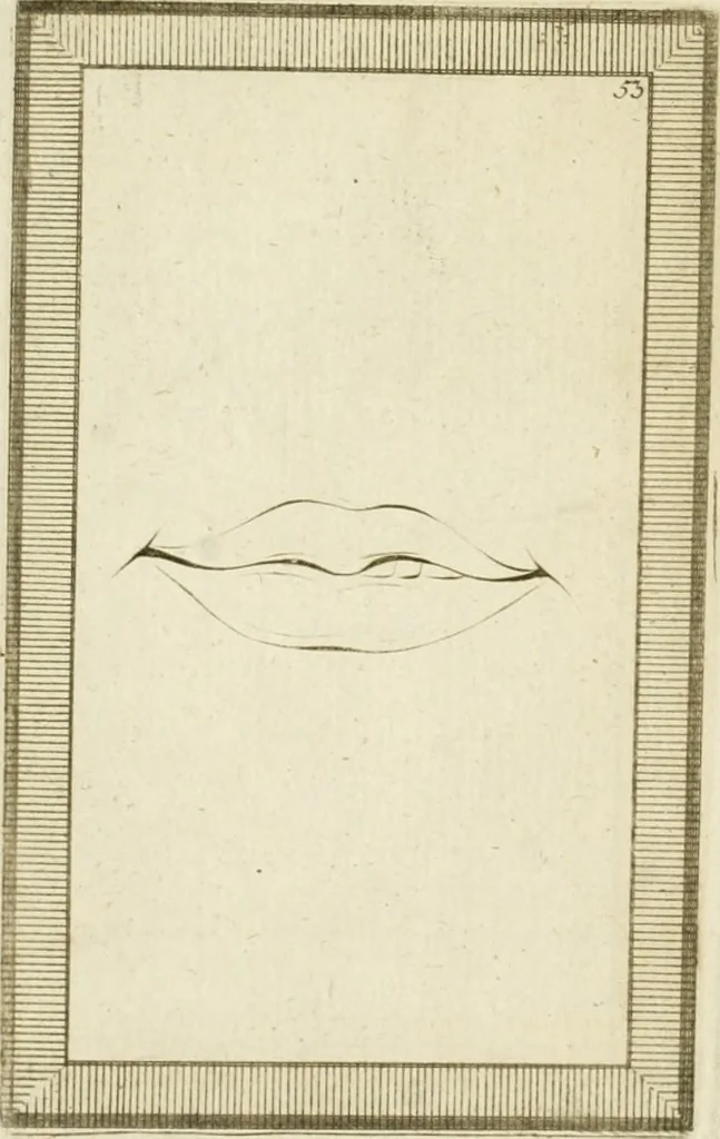 An illustration from Essai sur la physiognomonie : destiné a faire connoître l'homme & à le faire aimer, 1781, leaf 379
