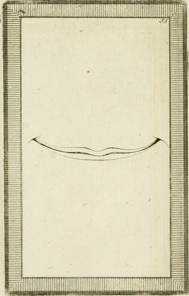 An illustration from Essai sur la physiognomonie : destiné a faire connoître l'homme & à le faire aimer, 1781, leaf 381