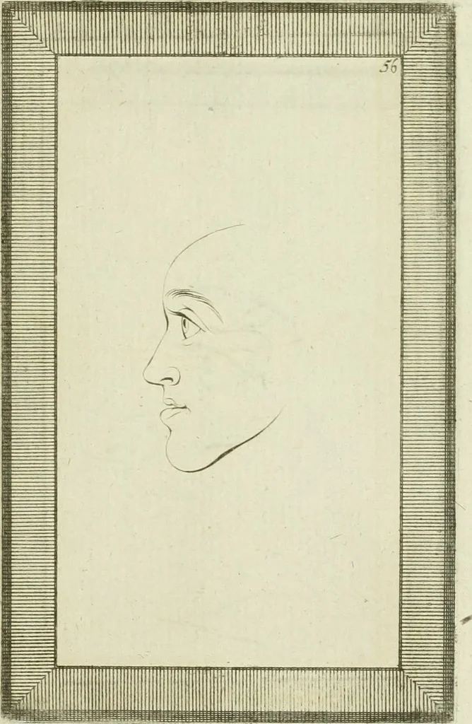 An illustration from Essai sur la physiognomonie : destiné a faire connoître l'homme & à le faire aimer, 1781, leaf 382