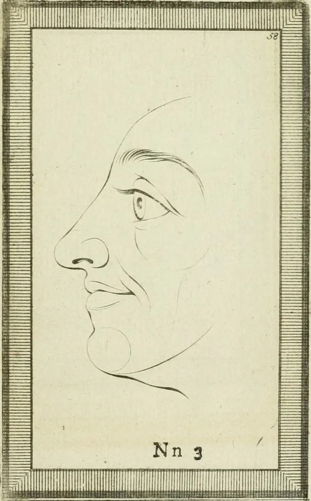 An illustration from Essai sur la physiognomonie : destiné a faire connoître l'homme & à le faire aimer, 1781, leaf 384