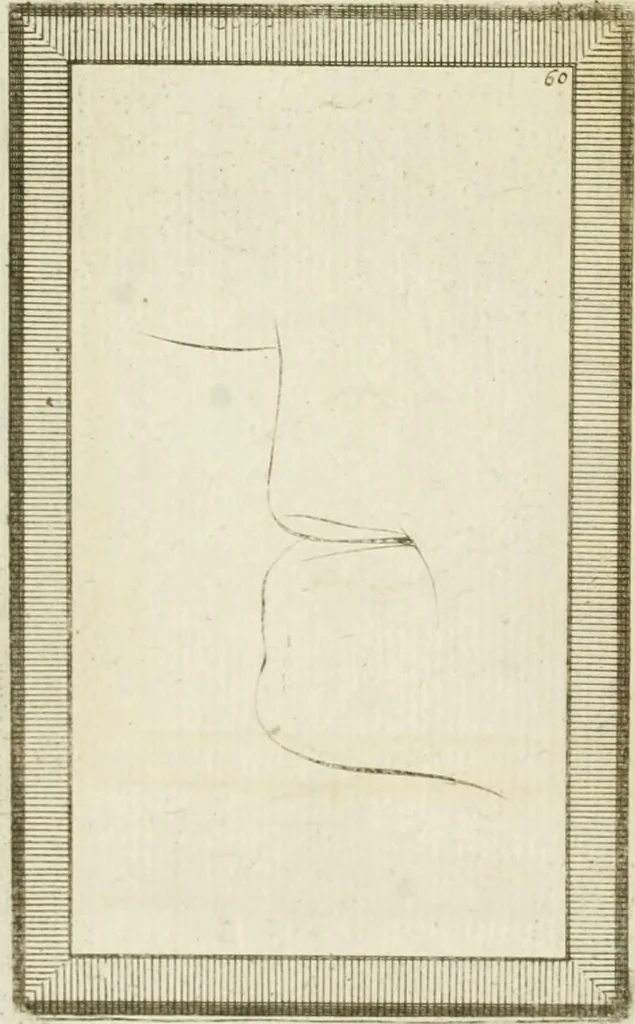 An illustration from Essai sur la physiognomonie : destiné a faire connoître l'homme & à le faire aimer, 1781, leaf 385