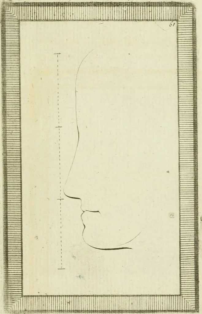 An illustration from Essai sur la physiognomonie : destiné a faire connoître l'homme & à le faire aimer, 1781, leaf 386